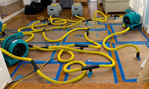Professional Basement Flood Cleanup technician working in Vinton, VA